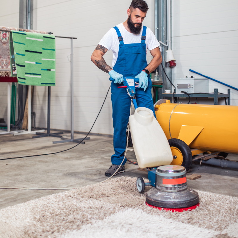 Professional carpet cleaning service operating a commercial heavy-duty rotary machine to deep clean a large, fluffy area rug.